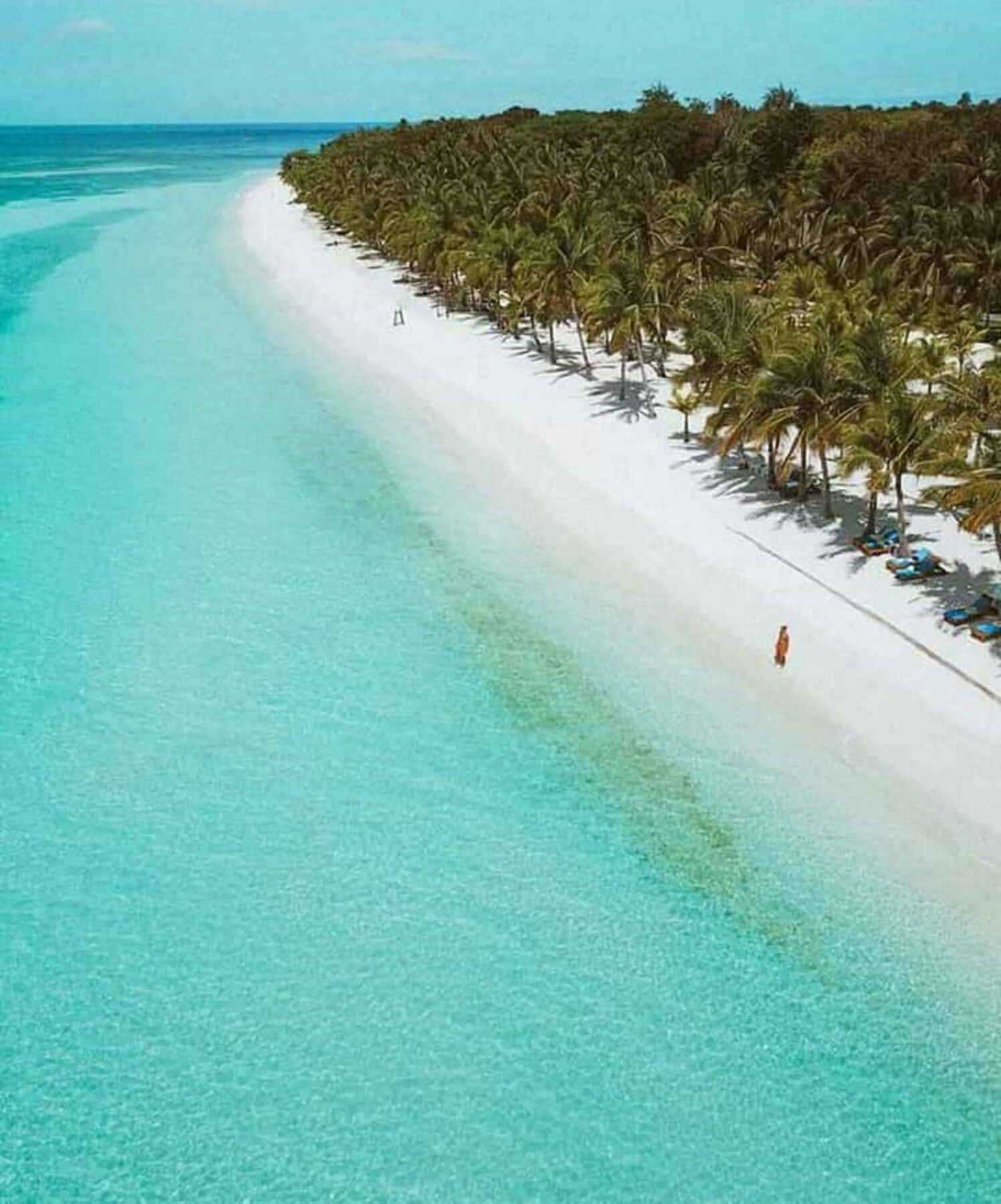 Traville Huts Palm Beach Inn Panglao Exteriér fotografie